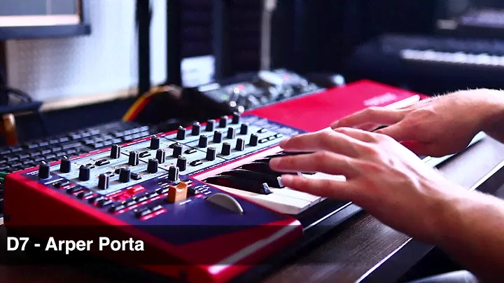 Nord Lead 2x 50 Custom Performances by Chronos
