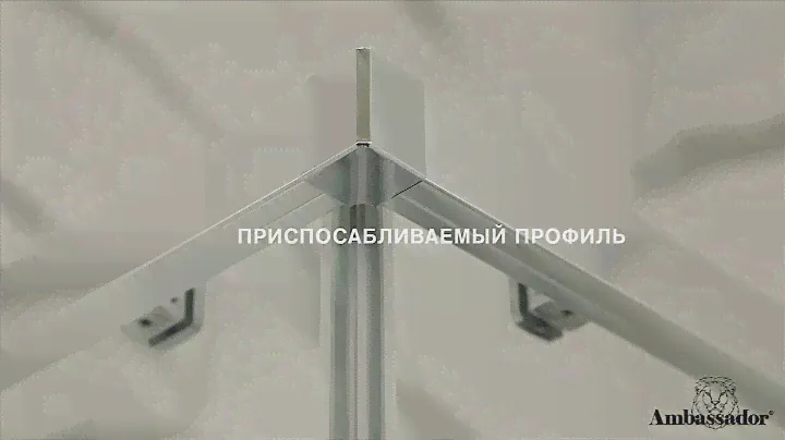 Душевое ограждение AMBASSADOR Queen 11011106 L