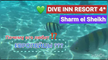 ПОЧЕМУ ОТЕЛЬ ЛЮБЯТ ЕВРОПЕЙЦЫ ⁉️/ DIVE INN RESORT 4* / Sharm el Sheikh /  обзор отеля, питание, пляж