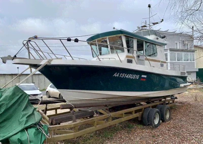Nord Star 31
