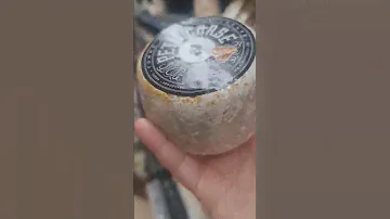 Blue goat cheese #cheese #French #mold #goat