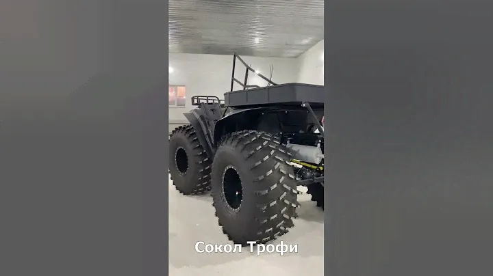ВСЕ МОДЕЛИ СОКОЛ
