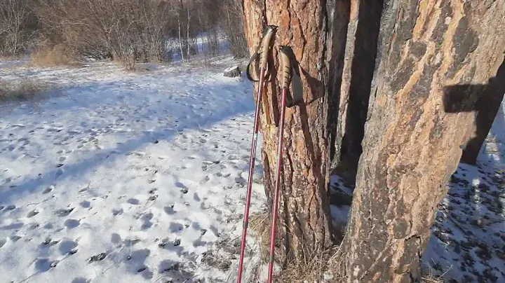 Палки для скандинавской ходьбы outventure nordic walking pole. Часть 2